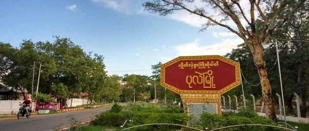 ပုလဲမြို့နယ်တွင် တိုက်ပွဲပြင်းထန်  နှစ်ဖက်တပ်များ သေဆုံးဒဏ်ရာရ
