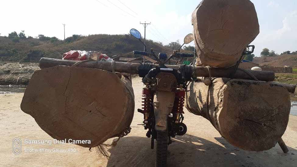 စစ်အာဏာသိမ်းပြီးနောက် ပဲခူးရိုးမတွင်  ကျွန်းသစ် ခိုးထုတ်မှုများလာ