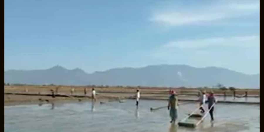 ရေးမြို့နယ်တွင် အချိန်အခါမဟုတ် မိုးရွာသွန်းမှုကြောင့် ဆားကွင်းများ ပျက်စီး၊ ကျပ်သိန်းရာချီ ဆုံးရှုံး