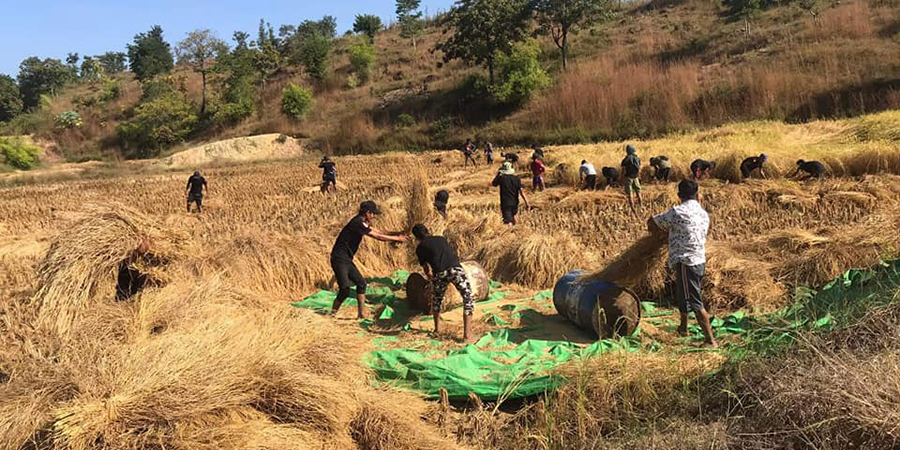 လယ်ယာကဏ္ဍထုတ်လုပ်မှု တိုးတက်လာဟု စစ်ခေါင်းဆောင် ပြောသော်လည်း လက်တွေ့မြေပြင် အခြေအနေနှင့် ကွဲလွဲနေ