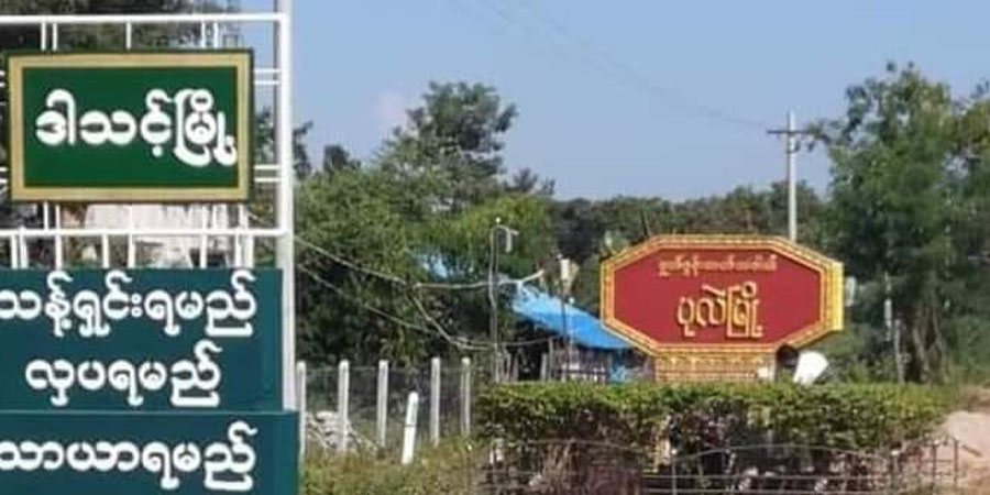 ပုလဲမြို့နယ်တွင် စစ်ကောင်စီတပ်ကို ကျားသစ်နက်ပြောက်ကျားတပ်ဖွဲ့ ကြားဖြတ်တိုက်ခိုက်