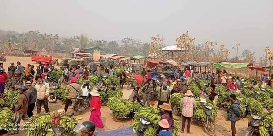 အိန္ဒိယဘက်က မျောက်ငိုသီး အဝယ်မလာသဖြင့် နယ်စပ်ထိသွားရောက်ပြီး ဈေးနှိမ်ရောင်းချနေရ