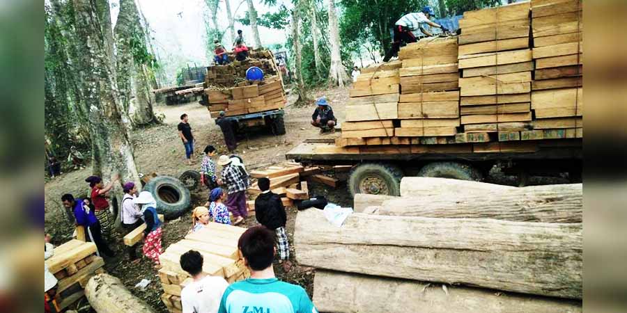 အီတလီက မြန်မာ့ကျွန်းသစ်တင်သွင်းပြီး စစ်အုပ်စုကို ရန်ပုံငွေရအောင်ကူညီနေ