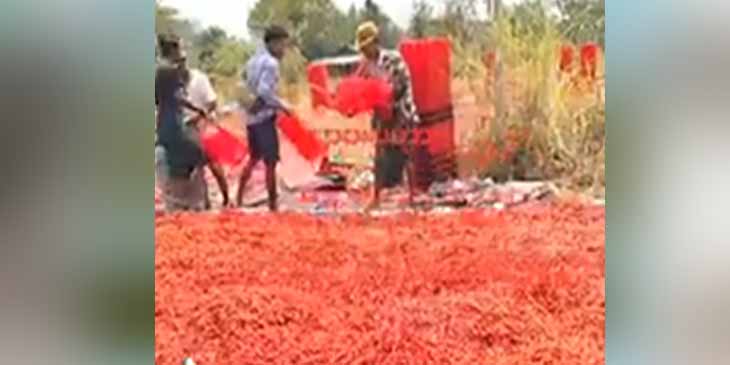 ၁၀၅ မိုင်တွင် ငရုတ်ကုန်တင်ကား ရာချီပိတ်မိနေပြီး သိန်းပေါင်းများစွာ ဆုံးရှုံးနေ