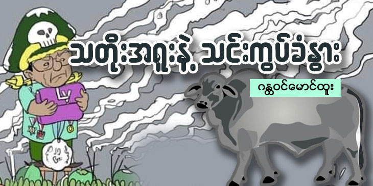 သတိုးအရူးနဲ့ သင်းကွပ်ခံနွား