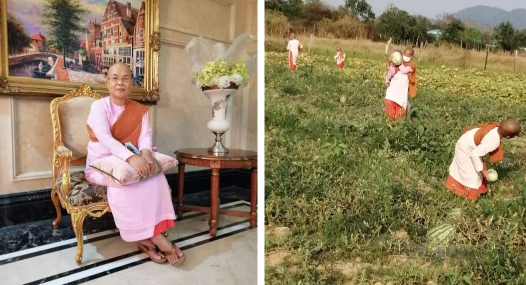 သဘာဝဥယျာဉ်ထဲမှာ ပန်းများကို ပွင့်လန်းစေသူ