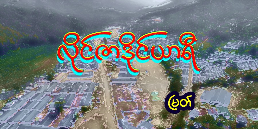 လိုင်ဇာဒိုင်ယာရီ
