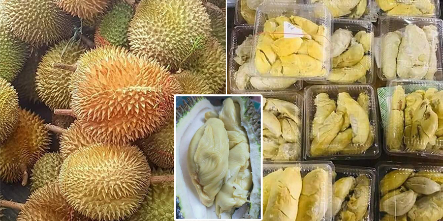 စံချိန်တင်ဈေးရရှိခဲ့သည့် ရေး ဒူးရင်းသီး ဈေးနှုန်းပြန်ကျ
