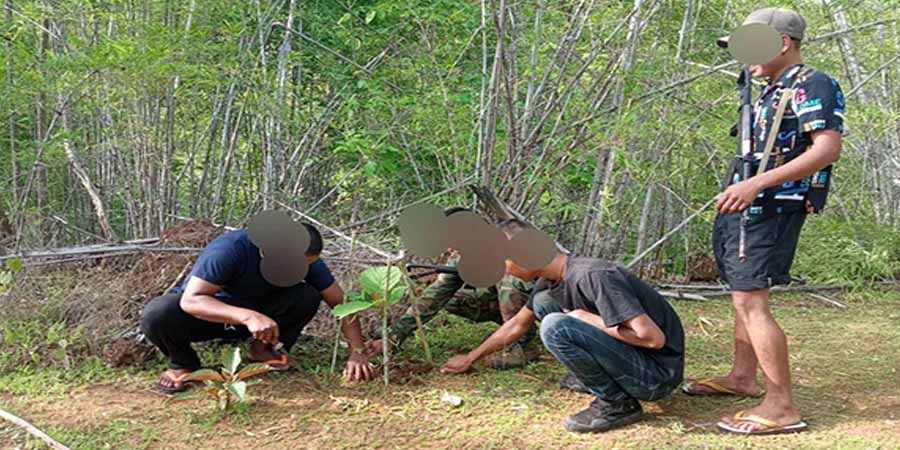 ကျဆုံးတော်လှန်ရေးသူရဲကောင်းများအတွက် မင်းလှ PDF က ဂုဏ်ပြုသစ်ပင် ၂၀၀ ခန့်စိုက်ပျိုး