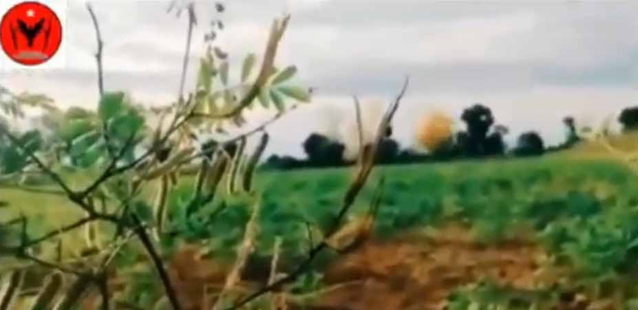 မြင်းမူမြို့နယ်တွင် စစ်ကောင်စီယာဉ်တန်း မိုင်းဆွဲတိုက်ခိုက်ခံရ