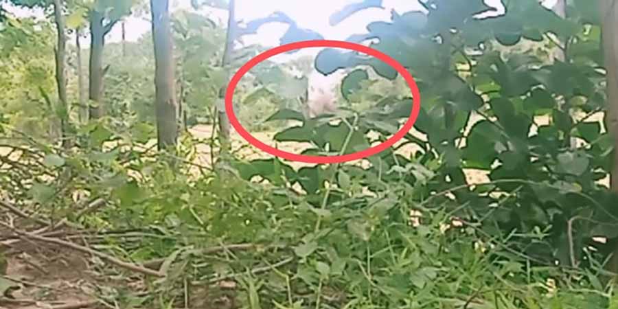 စစ်ကိုင်းတိုင်းအတွင်း ကသာ၊ ယင်းမာပင်နှင့် မြင်းမူဒေသတွင်  တိုက်ပွဲများဖြစ်ပွားပြီး