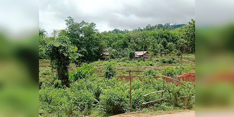 ကျောက်ကြီးမြို့နယ်ရှိ ကျားသေတောစားကျက်မြေကို စစ်တပ်က လက်နက်ကြီးဖြင့် ပစ်ခတ်