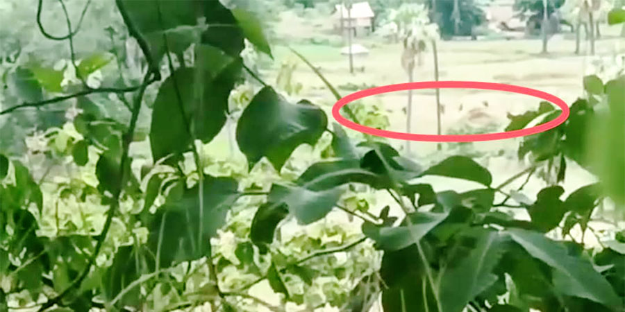 ပေါက်မြို့နယ် ကင်းမကျေးရွာသား ၃၀ ခန့်ကို စစ်ကောင်စီတပ် ဖမ်းဆီး