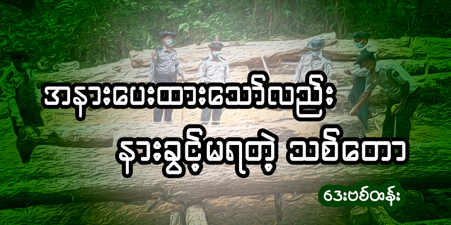 အနားပေးထားသော်လည်း နားခွင့်မရတဲ့သစ်တော