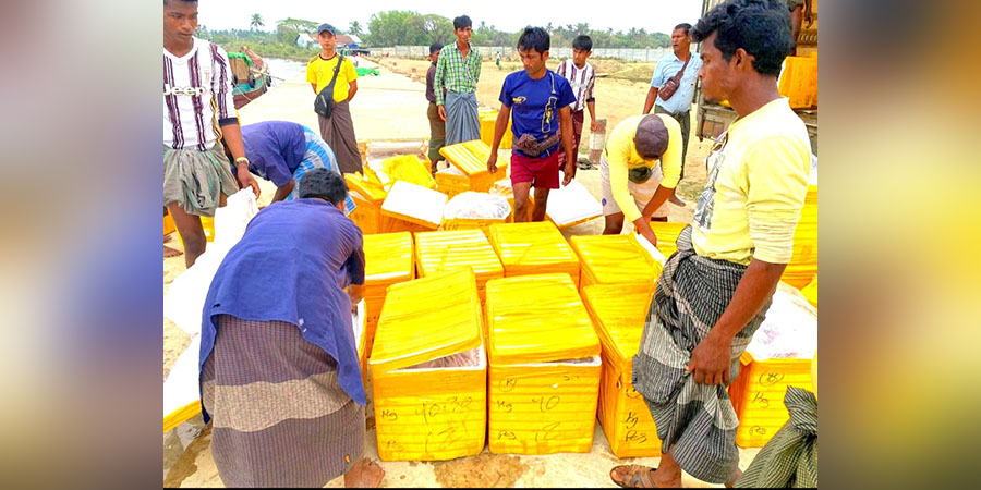 ဘင်္ဂလားဒေ့ရှ်ဘက် တင်ပို့ကုန်များကို ဒေါ်လာဖြင့် ပေးသွင်းရသဖြင့် ကုန်သည်များအခက်တွေ့