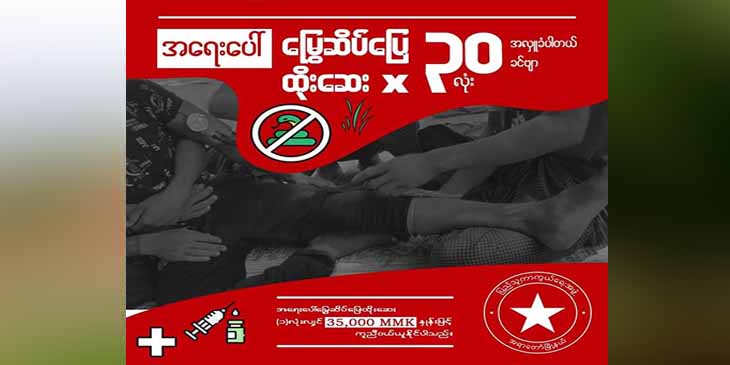 အရာတော်မြို့နယ် ပြည်သူ့ကာကွယ်ရေးရဲဘော်များအတွက် မြွေဆိပ်‌ဖြေဆေး လိုအပ်
