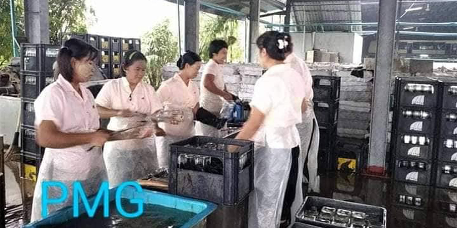 PMG စက်ရုံလုပ်သားများ သပိတ်မှောက်လှုပ်ရှားမှုရပ်တန့်ပြီး အလုပ်ပြန်ဝင်
