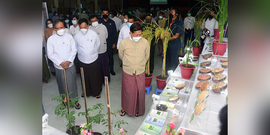 တောင်သူဘဝမြှင့်တင်ရေး စစ်ခေါင်းဆောင် မျှော်မှန်းချက် အသိဉာဏ်နည်းသည့်လုပ်ရပ်ဟု လေ့လာသူများ သုံးသပ်
