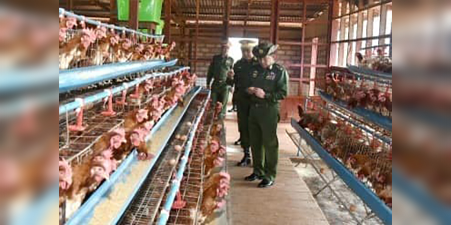စိုက်ပျိုး၊ မွေးမြူရေးနှင့် စက်မှုအထက်တန်းကျောင်း ၅၀ ဖွင့်ရန် စစ်ကောင်စီ စီစဉ်