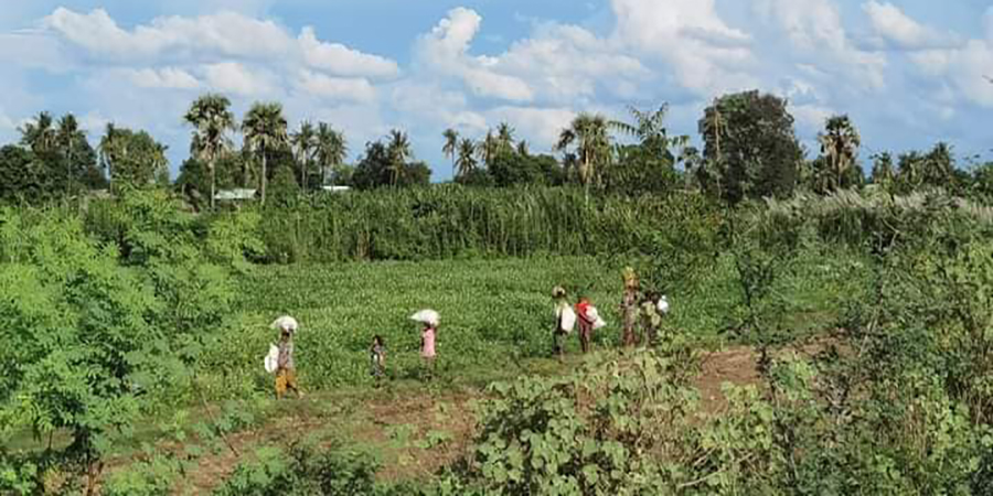 ဆားလင်းကြီးမြို့နယ်တွင် ရဲတပ်ဖွဲ့ဝင် ၄ ဦး ပစ်သတ်ခံရ