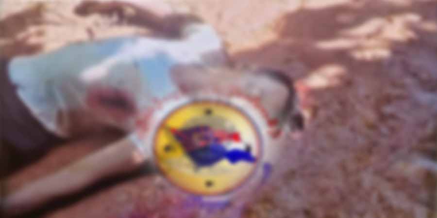 ဖာပွန်ခရိုင်တွင် အရပ်သား ၁ ဦးကို  စစ်ကောင်စီတပ်က သတ်ဖြတ်