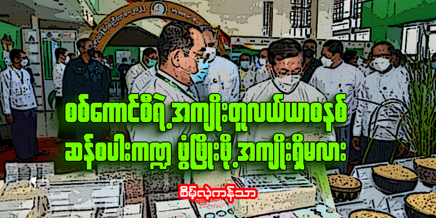 စစ်ကောင်စီရဲ့ အကျိုးတူလယ်ယာစနစ် ဆန်စပါးကဏ္ဍ ဖွံ့ဖြိုးဖို့ အကျိုးရှိမလား