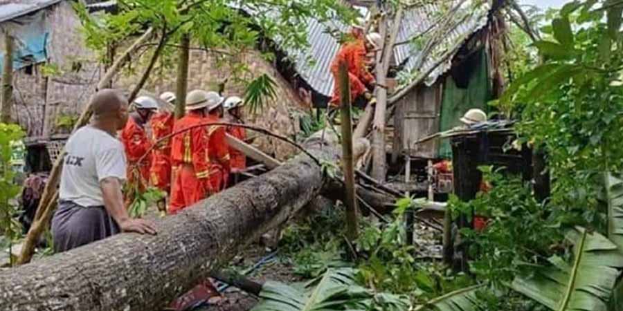 ဒေးဒရဲတွင် လေပြင်းတိုက်ပြီး နေအိမ်ပေါ် သစ်ပင်ပိသဖြင့် ၃  ဦးသေဆုံး