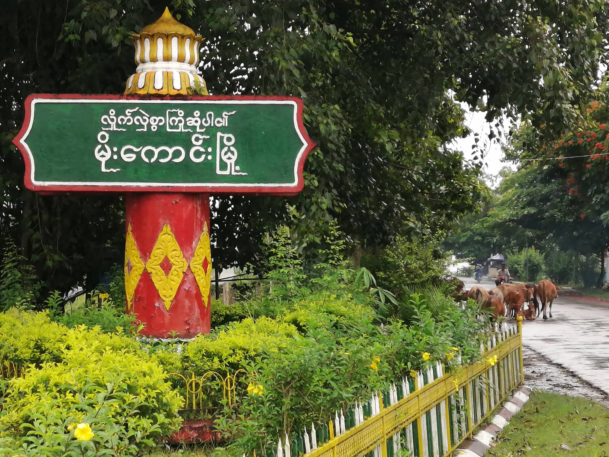 မိုးကောင်းတွင် ကျောင်းထိုင်ဆရာတော်တပါး ပစ်ခတ်ခံရပြီး ပျံလွန်တော်မူ