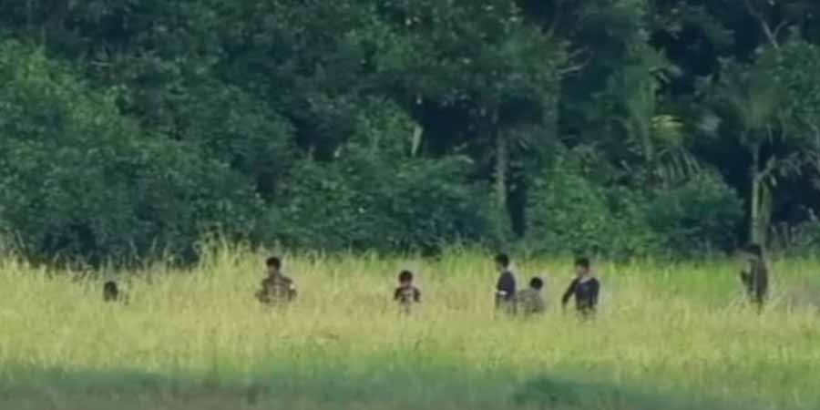 မင်းပြားမြို့နယ်၌ ပြည်သူလူထုစိုက်ပျိုးထားသည့် စပါးများကို  စစ်ကောင်စီတပ်က အဓမ္မယူ