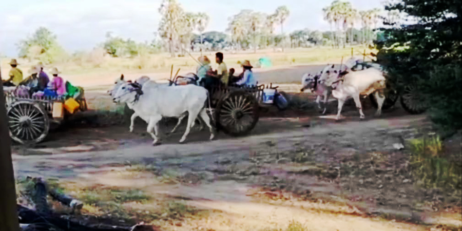 ပေါက်နှင့်မြိုင်က စစ်ရှောင်ပြည်သူများအကူအညီ လိုအပ်၊ စစ်ရှောင်နေရသဖြင့် စိုက်သီးနှံများ ဆုံးရှုံး