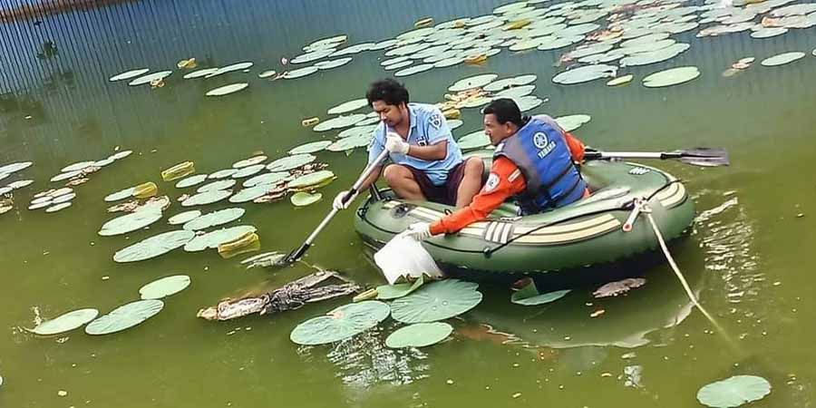 နှစ်လနီးပါး ပျောက်ဆုံးနေသည့် လူငယ် ၁ ဦး၏ ရုပ်အလောင်း ကန်တော်ကြီးတွင် ပြန်တွေ့
