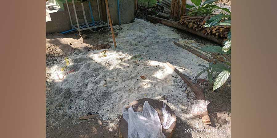 စစ်ကောင်စီတပ်က ဆန်စပါးများကို ဖျက်ဆီးသဖြင့် ဒီပဲယင်းဒေသခံများ စားနပ်ရိက္ခာ အခက်ကြုံ