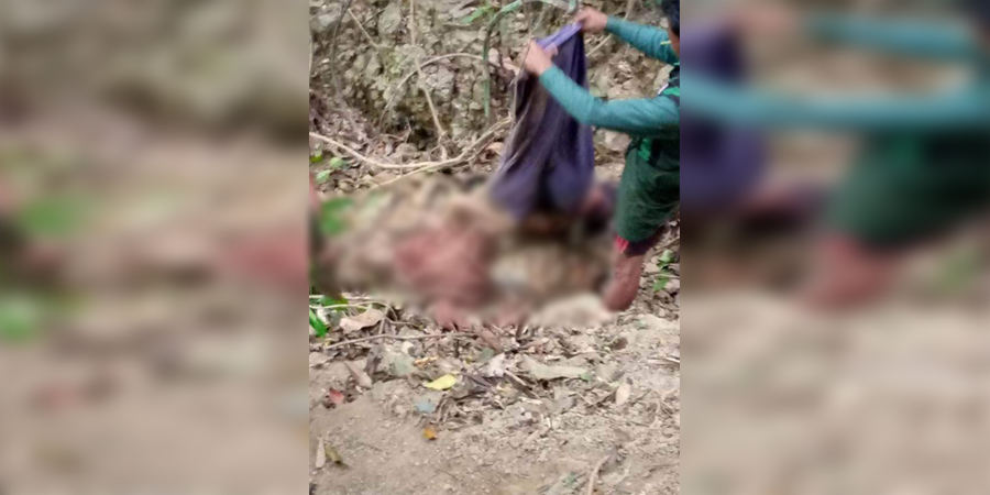 မောင်တောမြို့က ဝါးခုတ်သွားသည့် ရွာသား ၂ ဦး အလောင်းတွေ့ရှိ