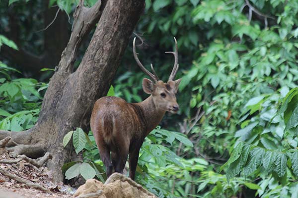 ႏိုင္ငံတကာ ဇီ၀မ်ိဳးစံုမ်ိဳးကြဲမ်ားေန႔ (ဓာတ္ပံုအက္ေဆး)