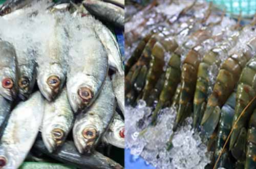 ေရထြက္ပို႔ကုန္ ၃၀ ရာခုိင္ႏႈန္း က်ဆင္းခဲ့