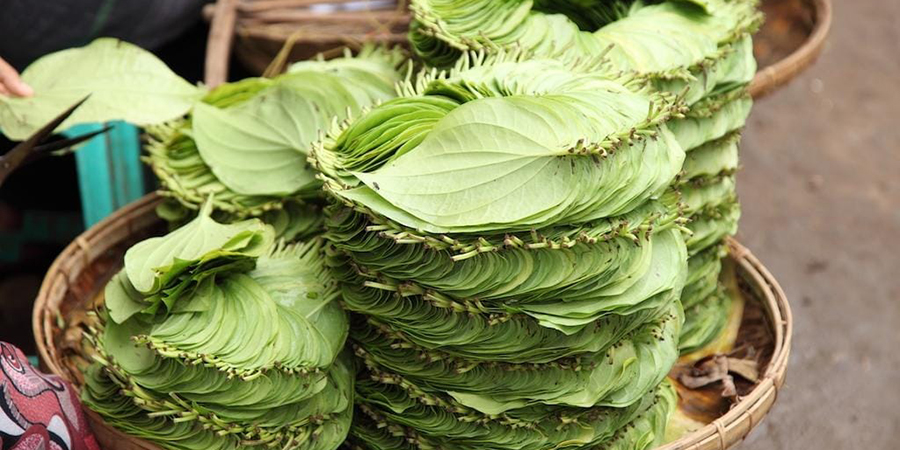 ရန်ကုန်တွင် ကွမ်းရွက်ဈေး ရုတ်တရက်မြင့်တက်