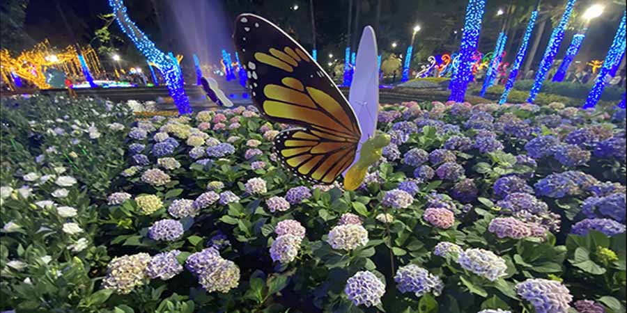 ထိုင်းနိုင်ငံ၊ ချင်းမိုင်မြို့က အစည်ကားဆုံး ပန်းပွဲတော် (ဓာတ်ပုံ)