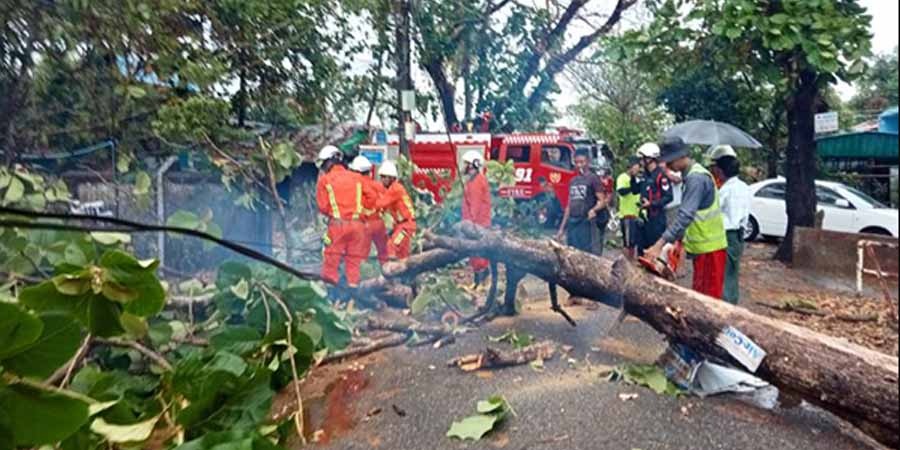ရန်ကုန်တွင်  လေပြင်းတိုက် သစ်ပင်လဲ၊ မိုးသီးကြွေ