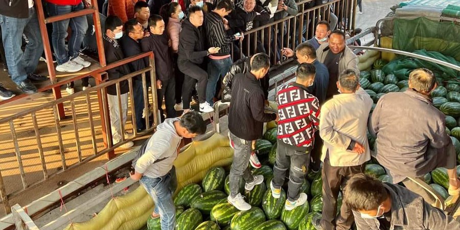 တရုတ်နယ်စပ်တွင် မြန်မာ့ဖရဲသီး စျေးကောင်းပြီး ဝယ်လိုအားများနေ