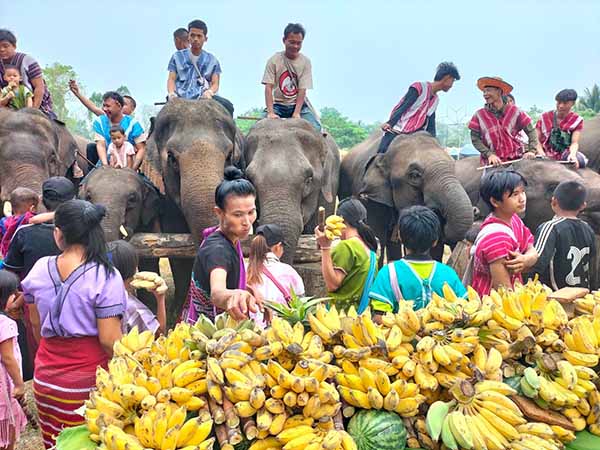 ထိုင်း-မြန်မာနယ်စပ်တွင် ကရင်တိုင်းရင်းသားရိုးရာ ဆင်ပွဲတော်ကျင်းပ (ဓာတ်ပုံ)