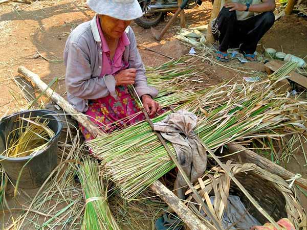 ၀မ်းရေးအတွက် သက်ငယ်(သက်ကယ်)ပျစ်ရင်း ဝင်ငွေရှာကြနေကြရတဲ့ ကရင်နီစစ်ရှောင်တွေ ( ဓာတ်ပုံ)
