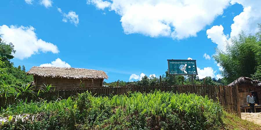 ချဥ်ပေါင်ဖာလာ သီးနှံများဖြစ်ထွန်းမှုမရှိသဖြင့်  နာဂတောင်သူများ စိုးရိမ်