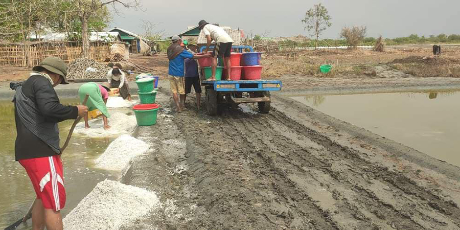 ရခိုင်တွင် အချိန်အခါမဟုတ် မိုးရွာသဖြင့် ဆားတောင်သူများ ဆုံးရှုံးမှုများနေ