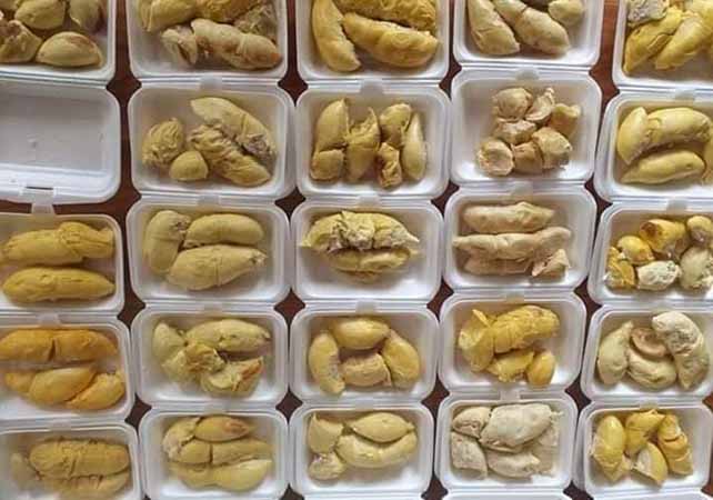 ရေးမြို့နယ်၌ ဒူးရင်းသီး ဈေးကောင်းသော်လည်း အဝင်နည်း