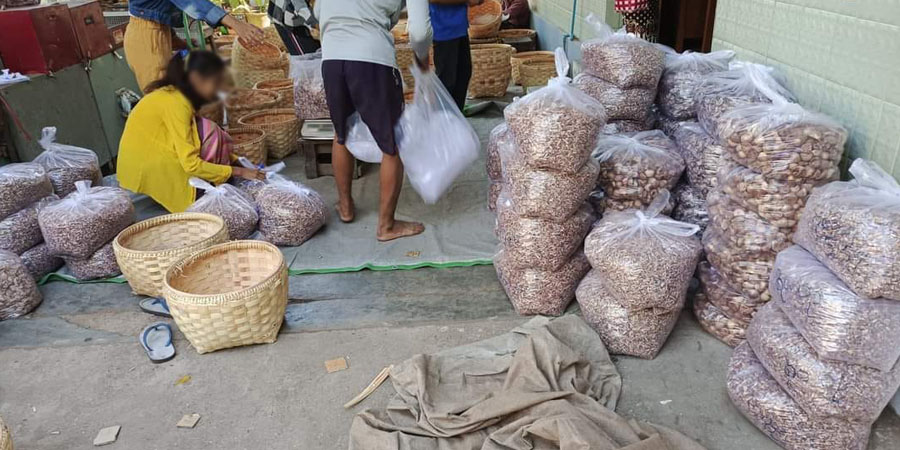 မြိတ်မြို့တွင် ကွမ်းသီးဈေးကျဆင်းပြီး အဝယ်ရပ်နားထားသဖြင့် ကွမ်းသီးရောင်းဝယ်သူများ အခက်တွေ့