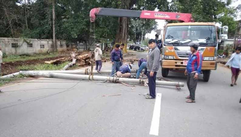 ပြင်ဦးလွင်မြို့၌ သစ်ပင်လဲပိမိပြီး ရဲ ၁ ဦး သေဆုံး 
