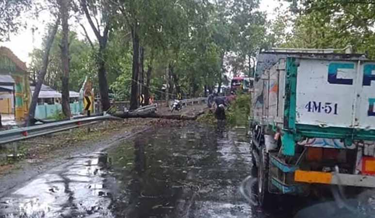 လေပြင်းတိုက်ခတ်မှုကြောင့် ရေကြည်မြို့နယ်၌ သစ်ပင်ပိပြီး အမျိုးသား ၁ ဦး သေဆုံး