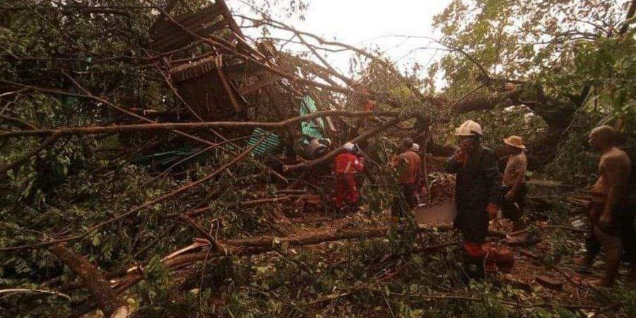ညောင်လေးပင်တွင် ဘုန်းကြီးကျောင်းပေါ် သစ်ပင်လဲကျပြီး လူ ၁ ဦးသေ၊ ၃ ဦး ဒဏ်ရာရ