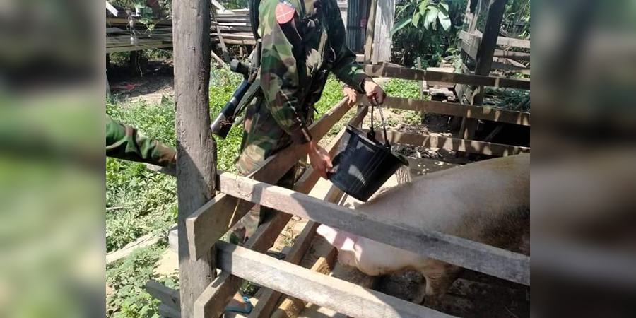 စစ်ကိုင်း စစ်ဘေးရှောင်များ၏ အိမ်မွေးတိရစ္ဆာန်များကို ABSDF က ထိန်းသိမ်းစောင့်ရှောက်ပေး