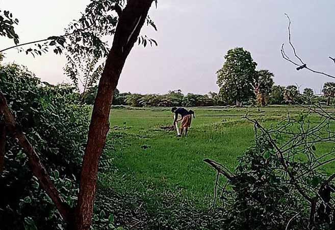 ယင်းမာပင်မြို့နယ်တွင် တိုက်ပွဲဖြစ်၊ ပုလဲမြို့နယ်၌ စစ်ကောင်စီစစ်ကြောင်း လက်နက်ကြီးဖြင့် ပစ်ခံရ